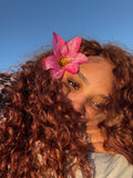 Jama Curly